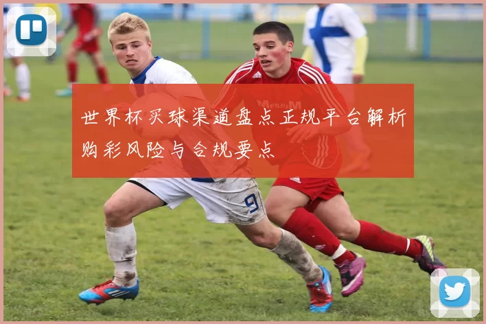 世界杯买球渠道盘点正规平台解析购彩风险与合规要点