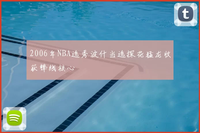 2006年NBA选秀波什当选探花猛龙收获锋线核心