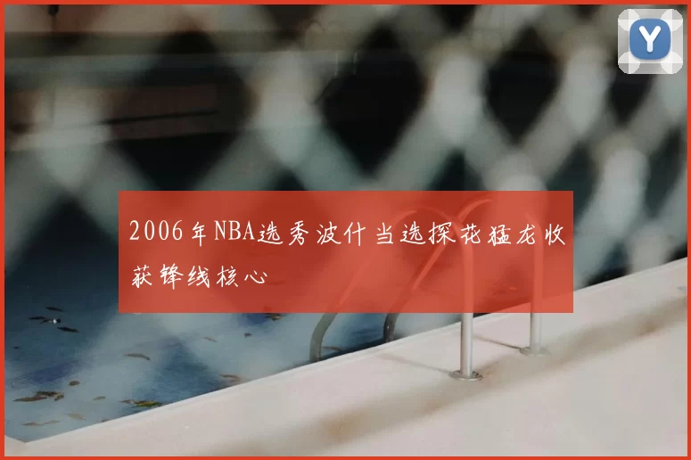 2006年NBA选秀波什当选探花猛龙收获锋线核心