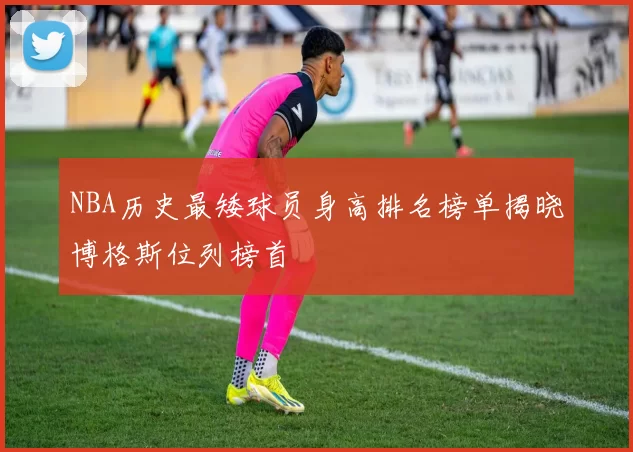 NBA历史最矮球员身高排名榜单揭晓博格斯位列榜首