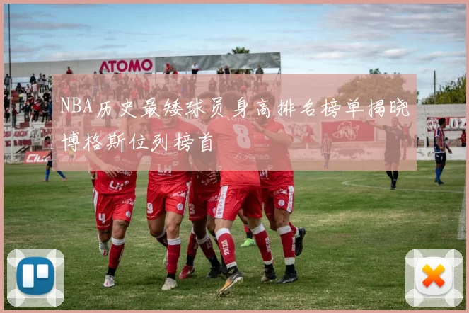 NBA历史最矮球员身高排名榜单揭晓博格斯位列榜首