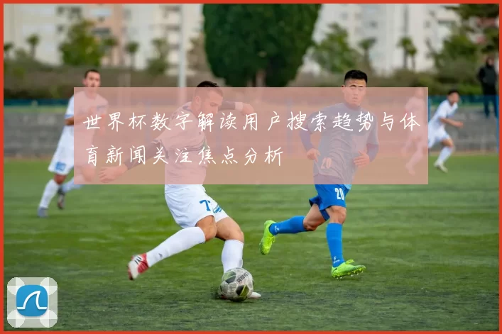世界杯数字解读用户搜索趋势与体育新闻关注焦点分析