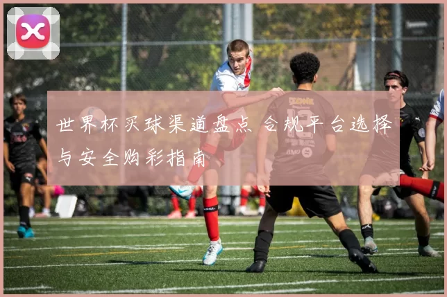 世界杯买球渠道盘点 合规平台选择与安全购彩指南
