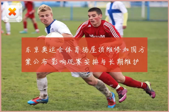 东京奥运会体育场屋顶维修加固方案公布 影响观赛安排与长期维护