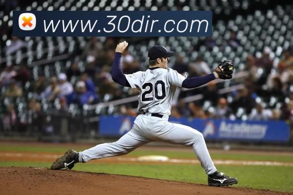 333体育 - 全网最全最有态度的体育赛事直播平台APP 封面图